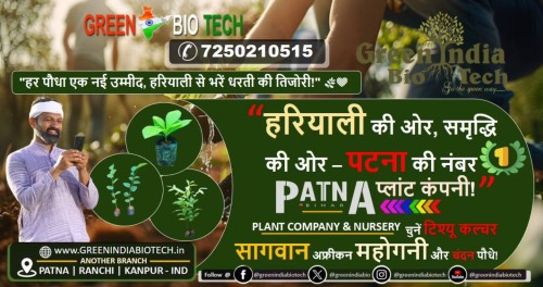 Plant-Company--Nursery-in-Ranchi.jpg