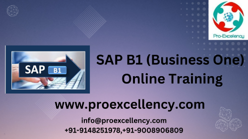 SAP-B1-Business-One-Online-Training.png