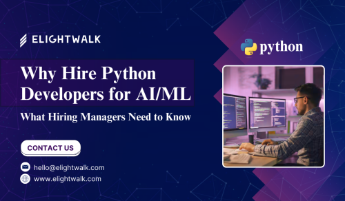 Hire-Python-Developers.png