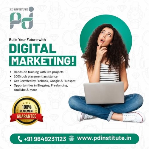 Learn-Digital-Marketing-by-PD-Institute.jpg