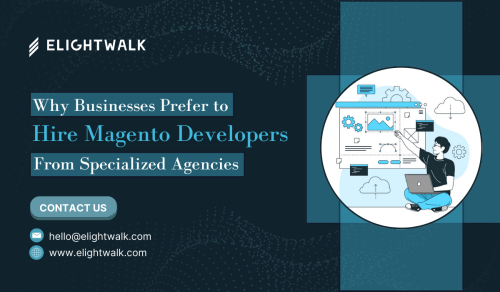 Why-Businesses-Prefer-to-Hire-Magento-Developers.png