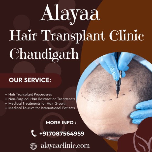 What-Should-I-Expect-from-a-Hair-Transplant-Specialist-in-Chandigarh.jpg