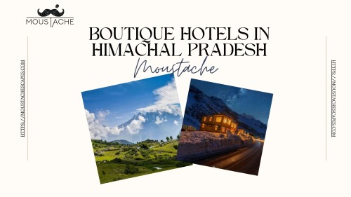 Hotels-in-Himachal-Pradesh-Moustache.jpg