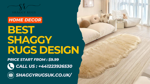 Best-Shaggy-Rugs-Design.png