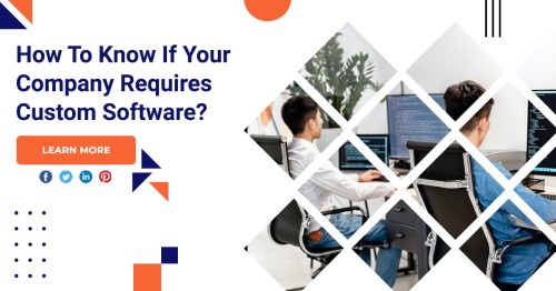 How-To-Know-If-Your-Company-Requires-Custom-Software.jpg