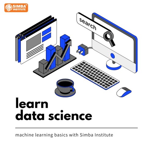 simba-data-science.jpg