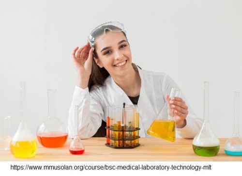 bsc-mlt-colleges-in-haryana.jpg