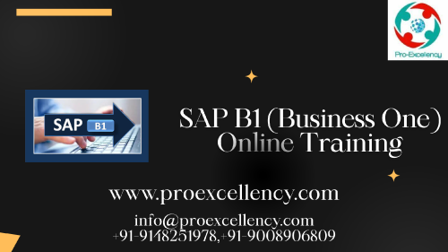SAP-B1-Online-Training.png