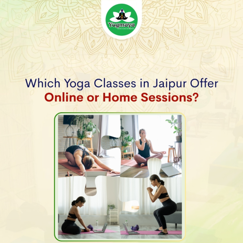 Which-Yoga-Classes-in-Jaipur-Offer-Online-or-Home-Sessions.png