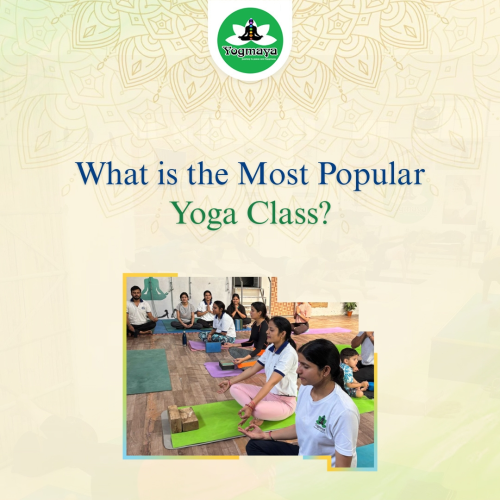 what-is-the-most-popular-yoga-class.png