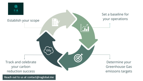 How-to-Implement-Effective-Carbon-Assurance-in-Your-Organization.png