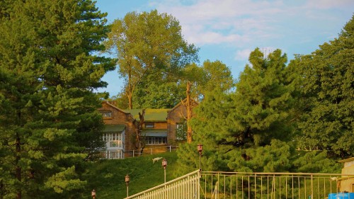 Rustic-Wooden-Cottage-in-Pine-Forest-with-Golden-Evening-Light-In-Murree.jpg