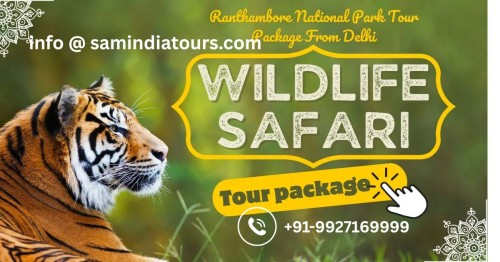 wildlife-safari-india.jpg