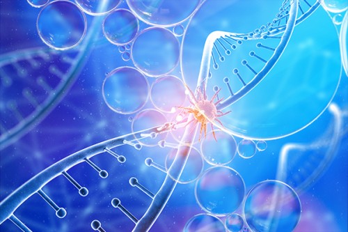 busniess-honor-new-dna-nanostructures-allow-flexible-and-stimuli-responsive-condensates.jpg