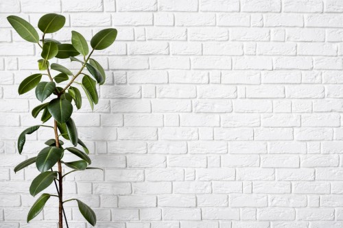 wall-bg.jpg