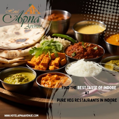 Hotel-Apna-Avenue--The-Best-Taste-of-Indore-in-Pure-Veg-Dining.jpg