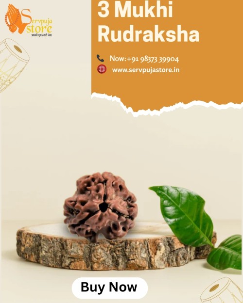 3-Mukhi-Rudraksha.jpg