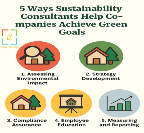 5-Ways-Sustainability-Consultants-Help-Companies-Achieve-Green-Goals.png