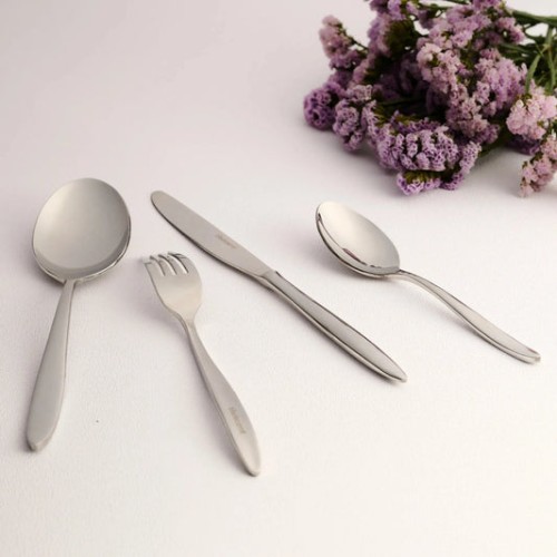 stainless-steel-silver-finish-serving-spoon-set-of-2-2.jpg
