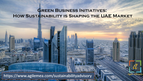 Is-Your-Business-Ready-for-Sustainability-in-Dubai.png