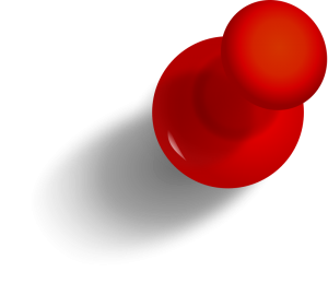 pin.png