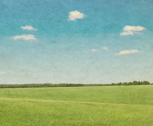 banner-bg.png