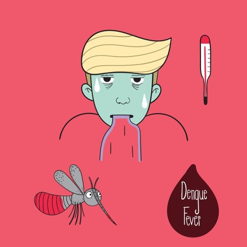 dengue-fever-7445496_640.jpg