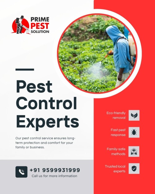 pest-control-2.jpg
