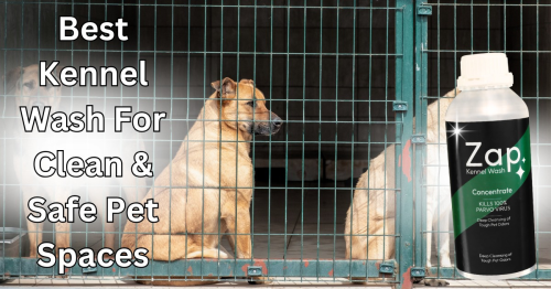 _-Best-Kennel-Wash-to-Keep-Your-Pets-Space-Clean-and-Safe-1.png