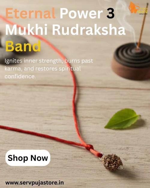 Eternal-Power-3-Mukhi-Rudraksha-Band.jpg
