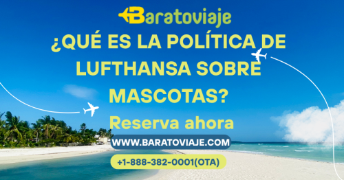 Que-es-la-politica-de-Lufthansa-sobre-mascotas.png
