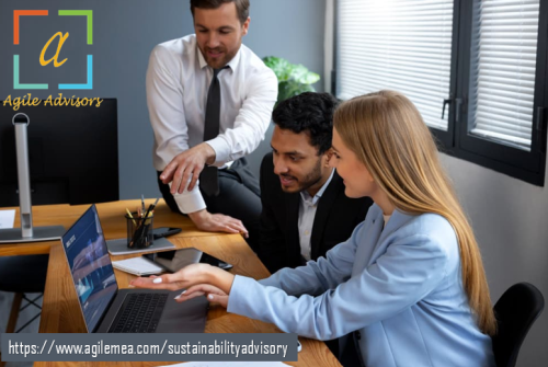 How-to-Choose-the-Best-Sustainability-Consultant-in-the-UAE-for-Your-Business.png