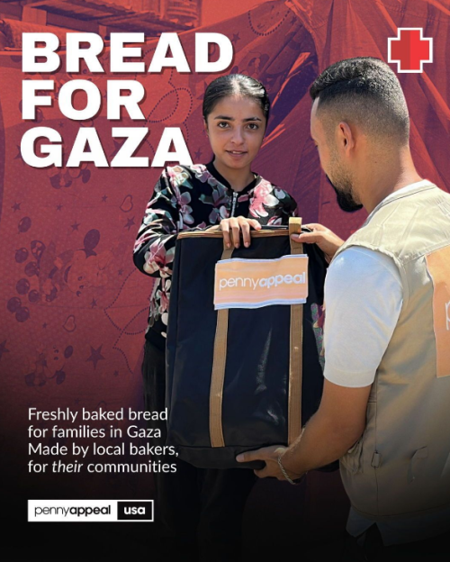 Gaza-image.png