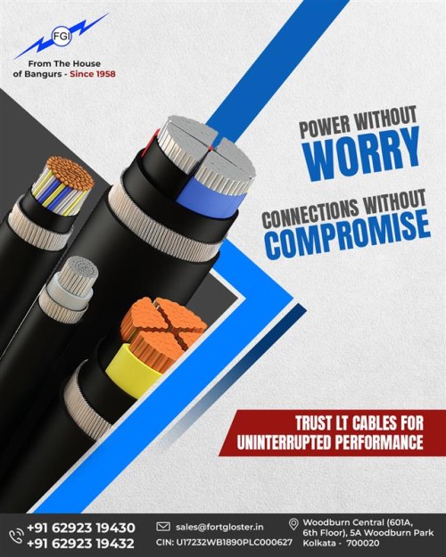 LT-cables-ensure-steady-power-and-complete-safety.jpg