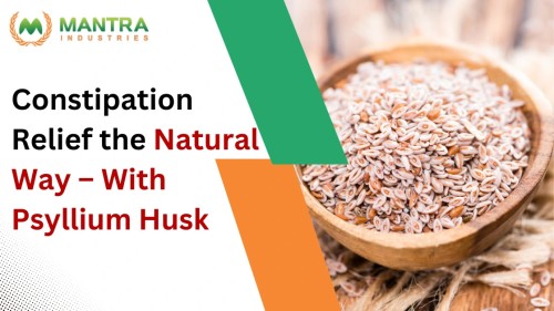Constipation-Relief-the-Natural-Way--With-Psyllium-Husk-Banner-1111.jpg
