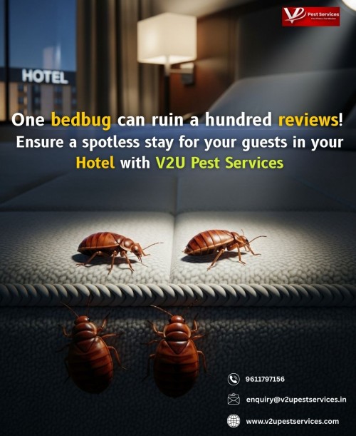 One-bedbug-can-ruin-a-hundred-reviews.jpg