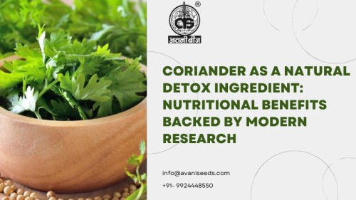 Coriander111.jpg