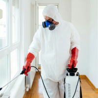 Pest-Control-Services-Prices---What-to-Expect-and-How-to-Save.png