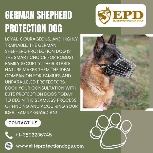Why-a-German-Shepherd-Protection-Dog-is-Your-Ideal-Family-Guard.jpg