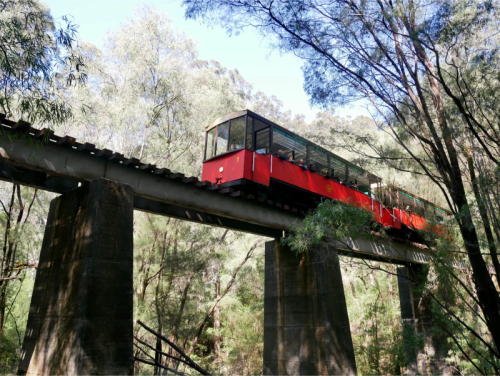 Pemberton-Tramway-3-scaled.png