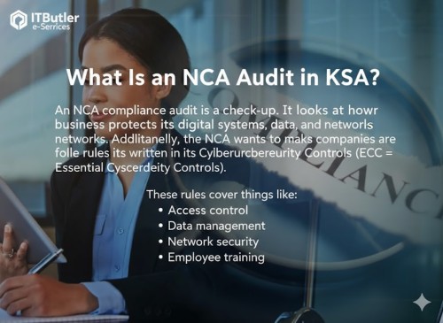 NCA-AUDIT.jpg