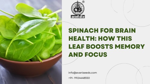 Spinach-for-Brain-Health111.jpg