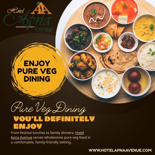 Pure-Veg-Hotel-in-Indore-Hotel-Apna-Avenue.jpg