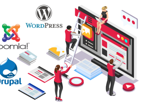 WordPress-Developer.png