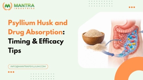 Psyllium-Husk-and-Drug-Absorption111.jpg