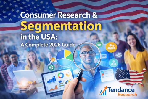 Consumer-Research--Segmentation-in-the-USA.png