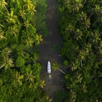 pexels-swastikarora-19743480-1