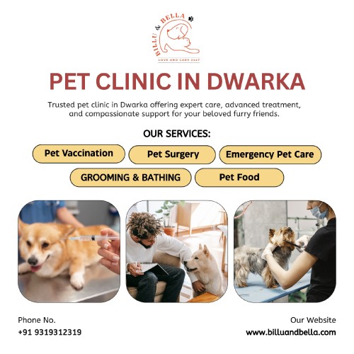 Billu--Bella---Pet-Clinic-in-Dwarka.jpg