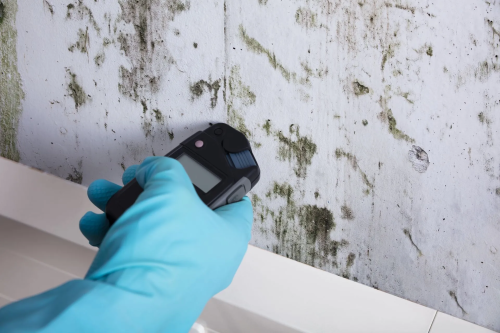 Mold-testing-dallas-1.png