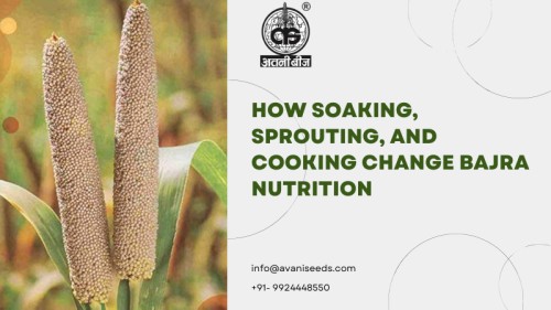 Bajra-Nutrition111.jpg